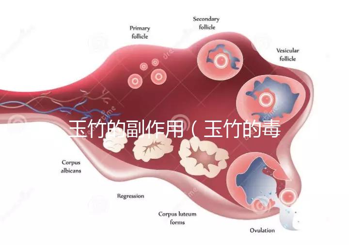 玉竹的副作用（玉竹的毒性有多強(qiáng)？）
