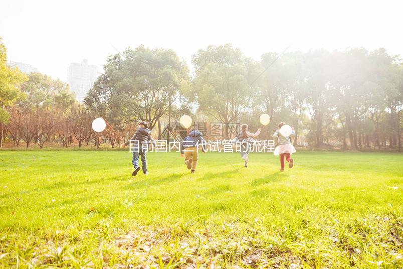 目前國內(nèi)三代試管的流程是怎樣？