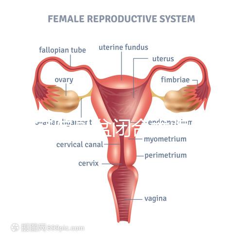 美容院骨盆閉合術騙局公開，不但沒用還會造成損傷要小心