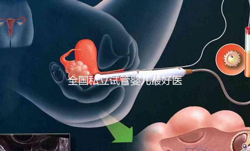 全國私立試管嬰兒最好醫(yī)院哪里最好，附醫(yī)院推薦