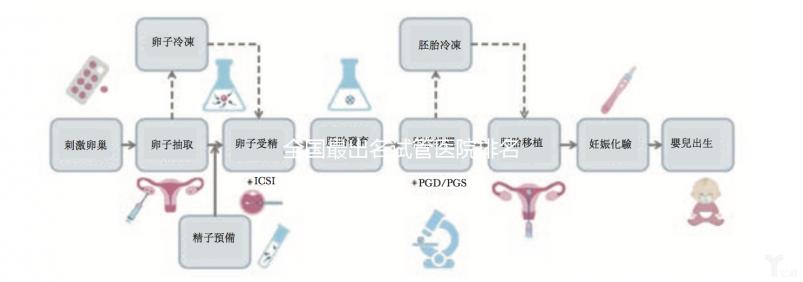 全國最出名試管醫院排名是怎樣的？附目前全國較好的試管醫院介紹！