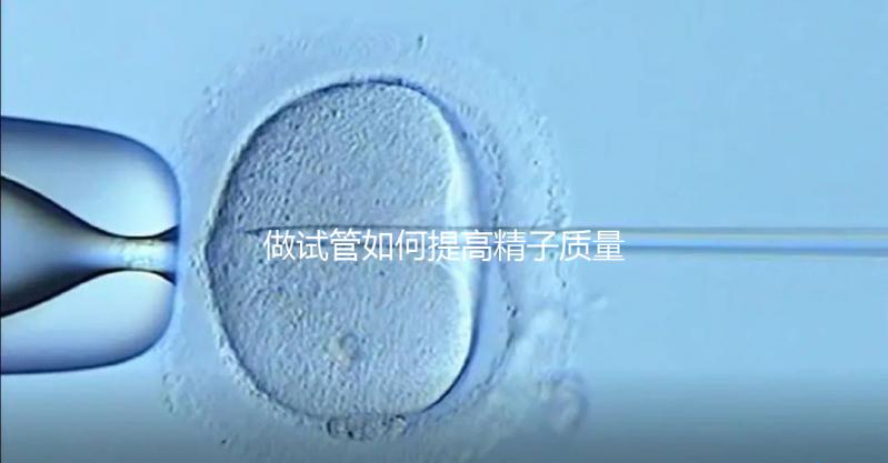 做試管如何提高精子質(zhì)量？五星推薦4個(gè)簡(jiǎn)單小運(yùn)動(dòng)