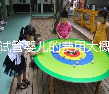 做試管嬰兒的費(fèi)用大概多少