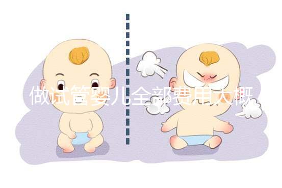 做試管嬰兒全部費用大概是多少