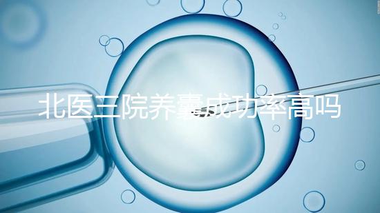北醫三院養囊成功率高嗎？胚胎質量才是關鍵因素