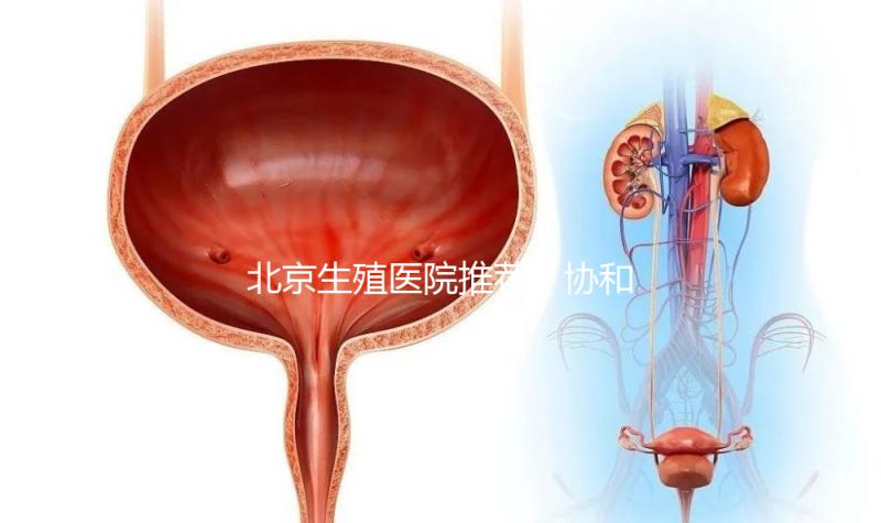 北京生殖醫(yī)院推薦！協(xié)和、北醫(yī)三院等三甲醫(yī)院介紹