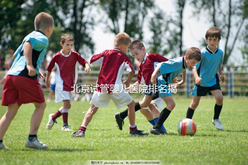 北京試管嬰兒醫(yī)院排名揭曉:價(jià)格合理,流程詳解