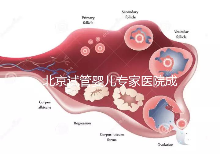 北京試管嬰兒專家醫院成功率高嗎，醫院推薦與費用解析