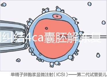 別糾結4ca囊胚解凍復蘇最早幾天能測出了，著床率先了解下
