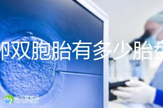 同卵雙胞胎有多少胎盤？1個or2個當(dāng)場講給你聽