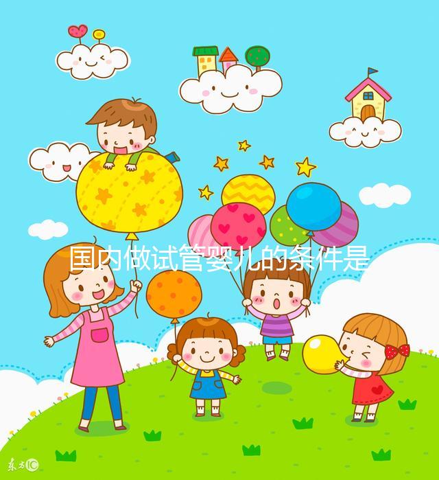 國內(nèi)做試管嬰兒的條件是什么，有什么要求？