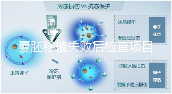 囊胚移植失敗后檢查項目，查免疫、內分泌必不可少