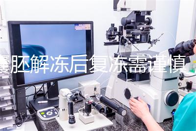 囊胚解凍后復凍需謹慎，這些對胚胎質量的影響不可不知