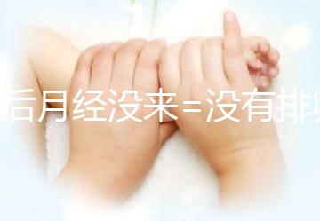 產后月經沒來=沒有排卵=不會懷孕？想得美！