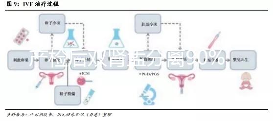 產檢后雙腎盂分離90%是男孩，或為孕期性別鑒定新高度