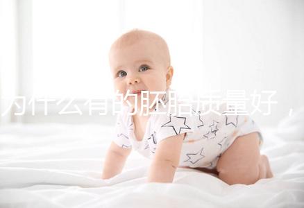 為什么有的胚胎質量好，有的質量差？