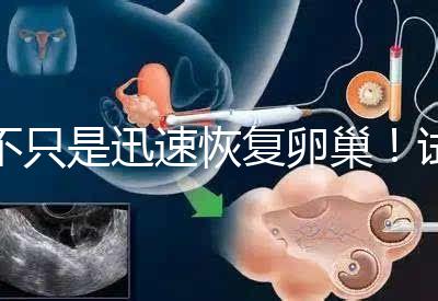 不只是迅速恢復卵巢！試管取卵后吃蘿卜的3大好處匯總