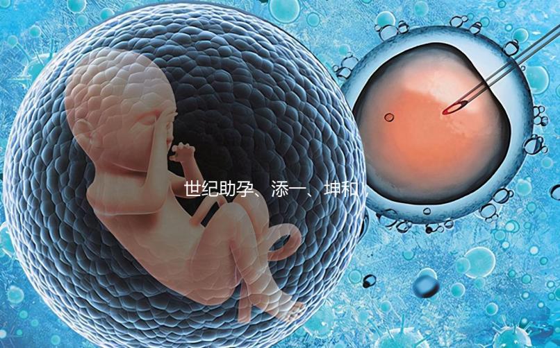 世紀助孕、添一、坤和，一起來看看上海助孕公司哪家好？