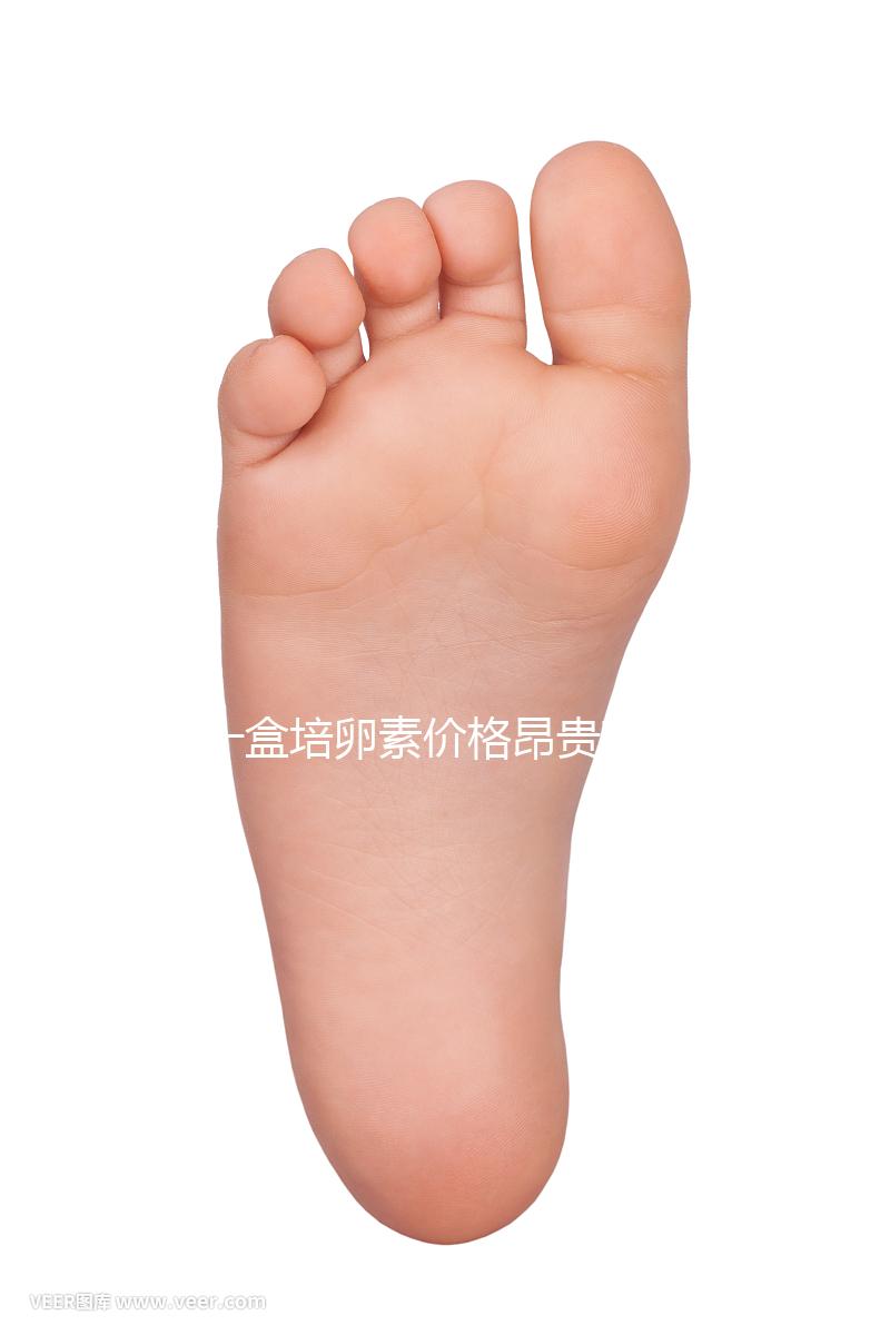 一盒培卵素價格昂貴有原因，避免假貨請選擇正規渠道