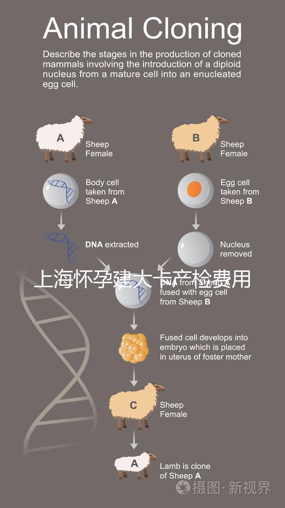 上海懷孕建大卡產檢費用分享，不同地區收費標準差別大！