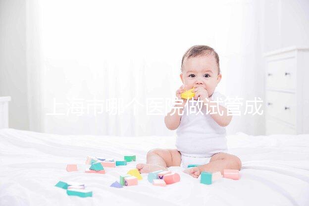 上海市哪個醫院做試管成功率高最好的？