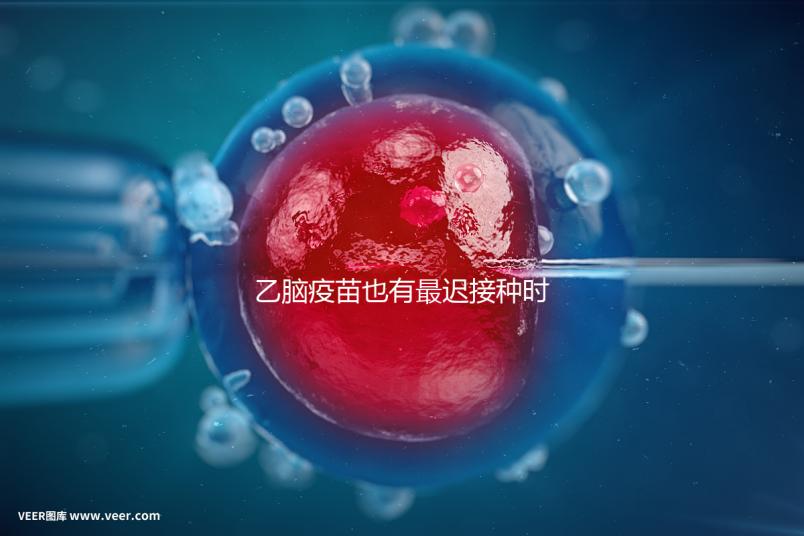 乙腦疫苗也有最遲接種時間，超過這個年齡段打效果差很多