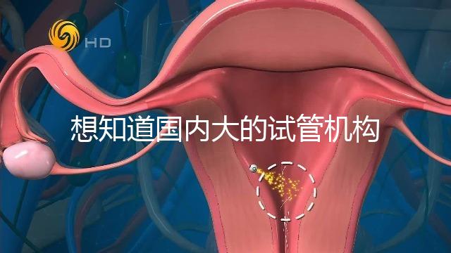 想知道國內大的試管機構，可以查到的那種？