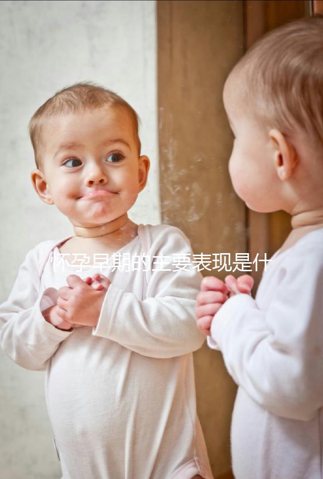 懷孕早期的主要表現是什么？