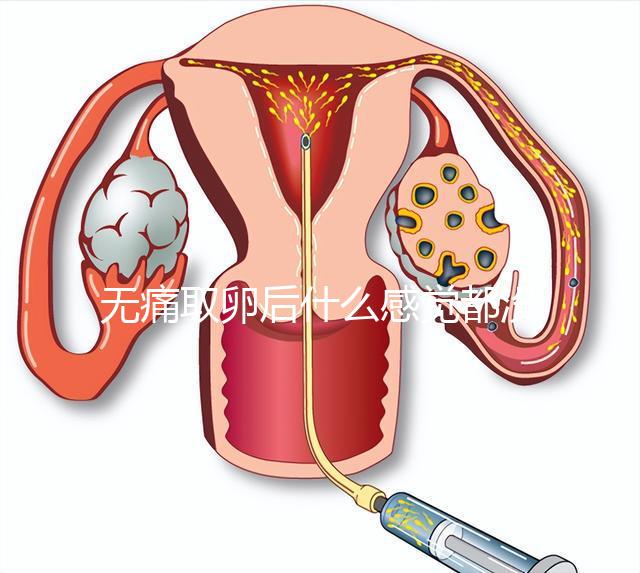 無(wú)痛取卵后什么感覺(jué)都沒(méi)有異常是謠言！只會(huì)出現(xiàn)一部分...
