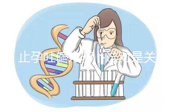 止孕吐偏方蘿卜選對是關鍵，懷孕初期生吃or煲湯功效不同