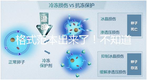 格式范本出來了！不知道出生證明遺失申請書怎么寫看這兒