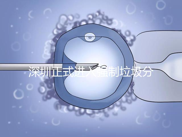 深圳正式進(jìn)入強(qiáng)制垃圾分類時(shí)代，不分類最高被罰50萬(wàn)!