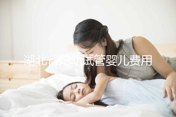 湖北省婦幼試管嬰兒費(fèi)用指南，單次助孕收費(fèi)標(biāo)準(zhǔn)參考