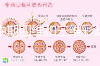 孕中期四維和三維彩超檢查區別真不小，看完便知誰更好
