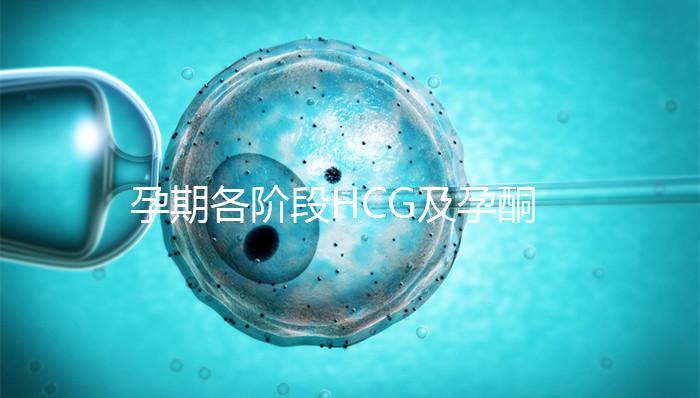 孕期各階段HCG及孕酮對照表，孕初期就要評估懷孕指標