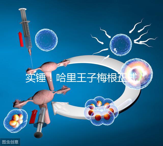 實錘！哈里王子梅根正式公布寶寶名字：阿爾奇·哈里森