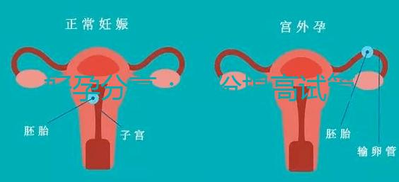 好孕分享：這份提高試管移植著床率的偏方快收藏！全是干貨