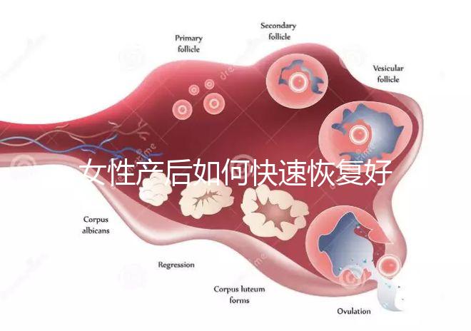 女性產后如何快速恢復好身材？