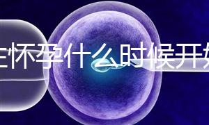 女性懷孕什么時候開始更準確？