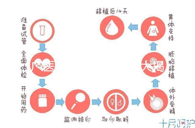 廣醫(yī)三院取精多少錢(qián)大揭秘，一萬(wàn)都包括什么速看
