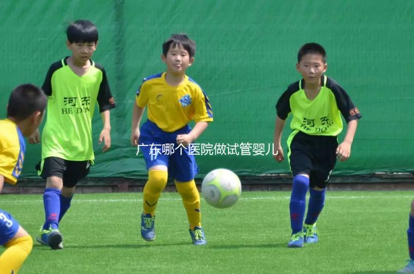 廣東哪個醫院做試管嬰兒技術好，成功率高，我今年45歲，今年在浙江做了兩次都不成功，都是8細胞一級。