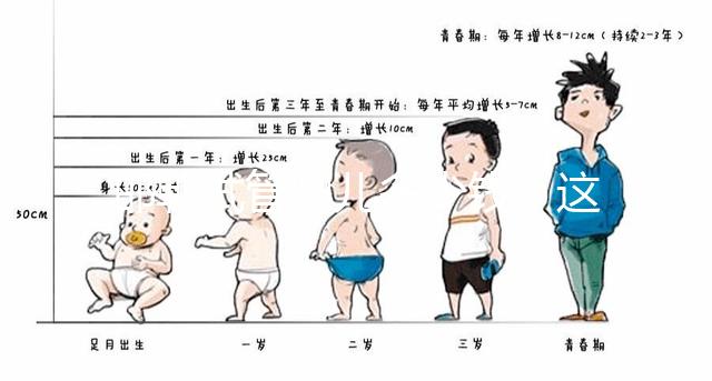 邯鄲試管嬰兒多少錢(qián)？這些醫(yī)院都能做成功率還不低！