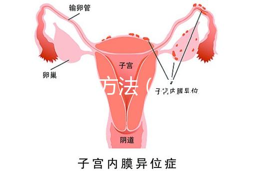 防止暈厥方法(防止暈厥方法有哪些)