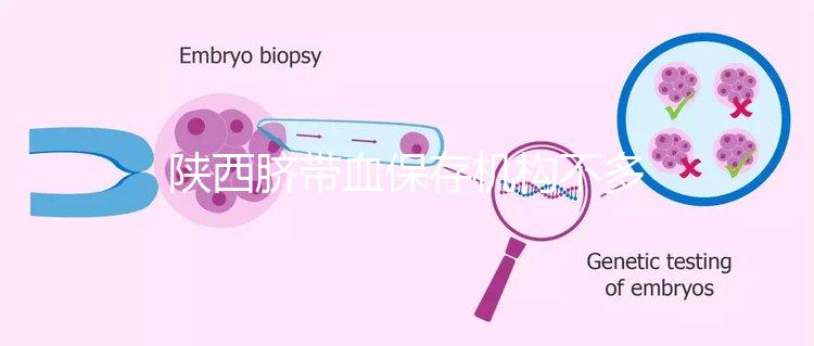 陜西臍帶血保存機(jī)構(gòu)不多,咸陽想自存請準(zhǔn)備好費用去合肥