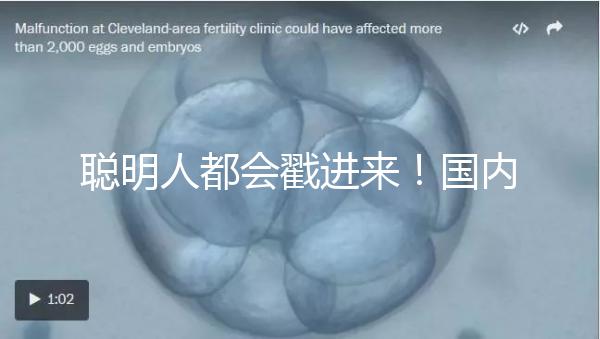 聰明人都會戳進來！國內試管嬰兒和泰國試管嬰兒優缺對比