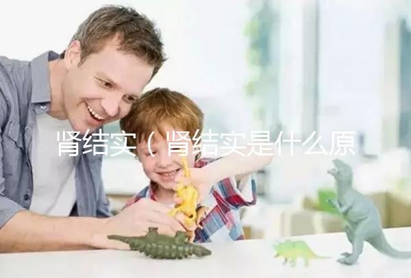 腎結(jié)實(shí)（腎結(jié)實(shí)是什么原因引起的）