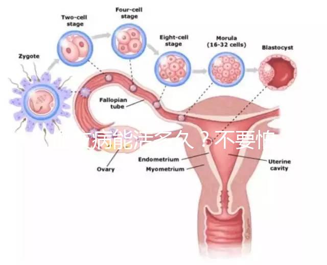 血友病能活多久？不要怕!注意這些同常人無異