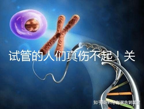 試管的人們真傷不起！關于養囊的成功率這些你得知道