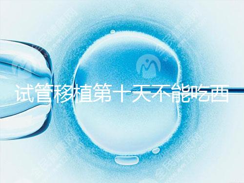 試管移植第十天不能吃西瓜！影響胚胎發(fā)育可不是玩笑話