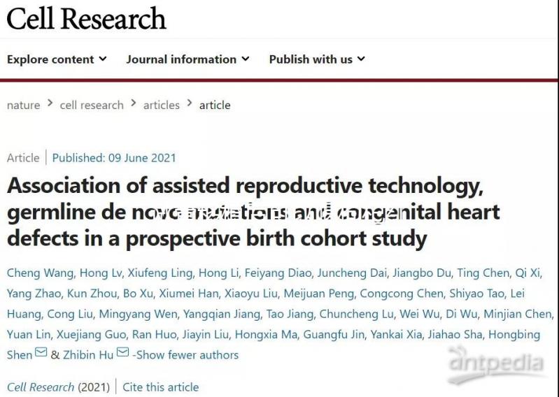 試管移植后可以喝枸杞紅棗湯嗎？能不能提高移植成功率？